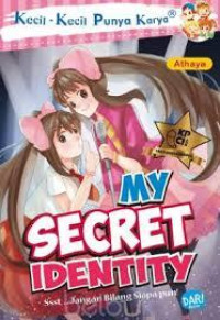 Image of My Secret Identity